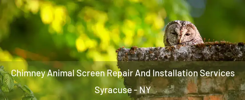  Chimney Animal Screen Repair And Installation Services Syracuse - NY