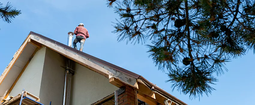 Birds Removal Contractors from Chimney in Syracuse, NY